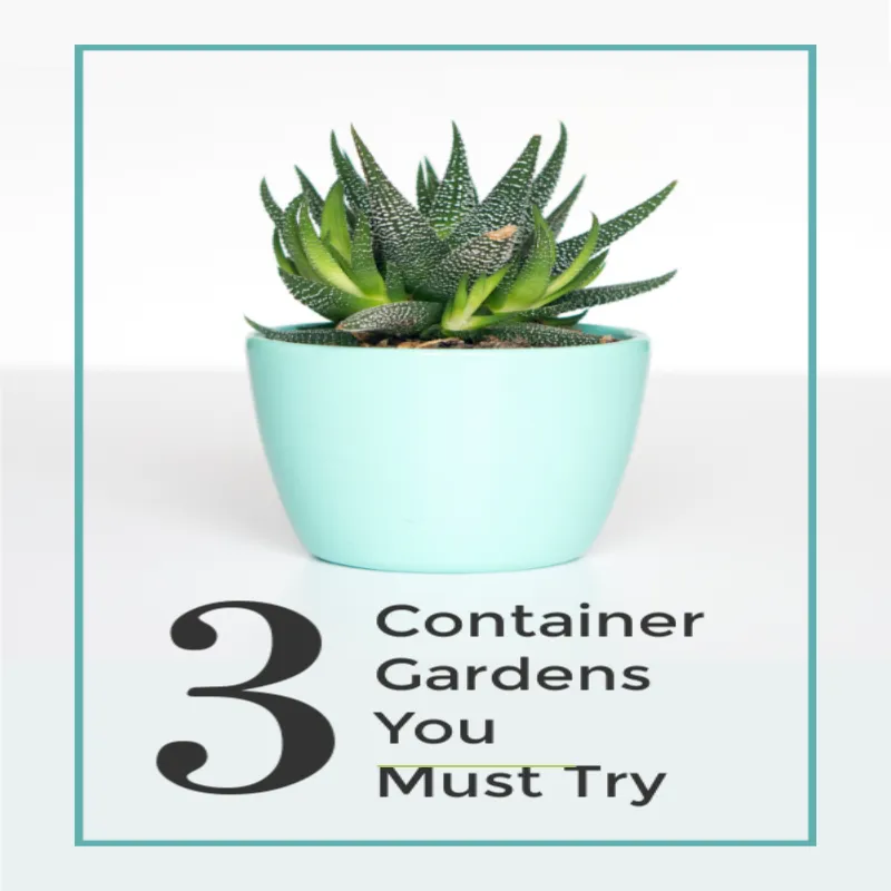 Blog 8 garden i4 Colorado Springs Local Experts – Colorado Finest Agency