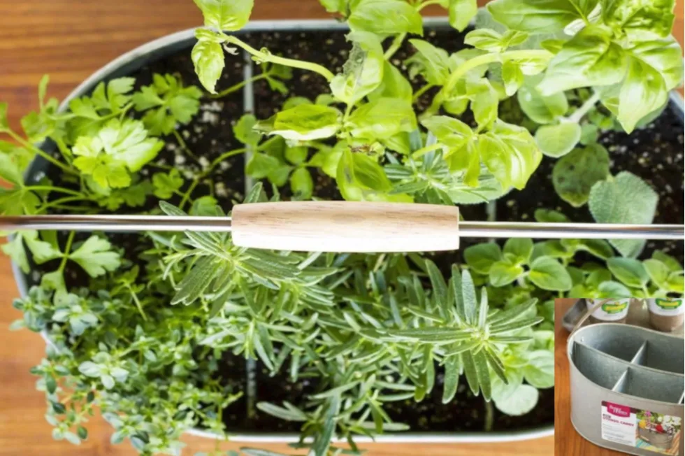 image 12 Colorado Springs Local Experts – Colorado Finest Agency