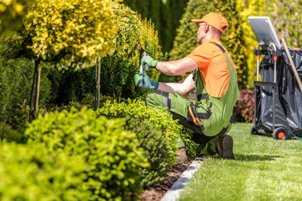 landscaping 5ebe6c623874c Colorado Springs Local Experts – Colorado Finest Agency