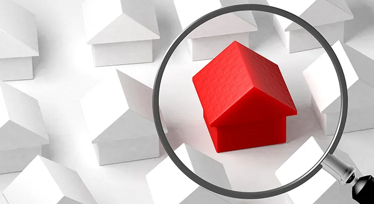 new 2 Colorado Springs Local Experts – Colorado Finest Agency