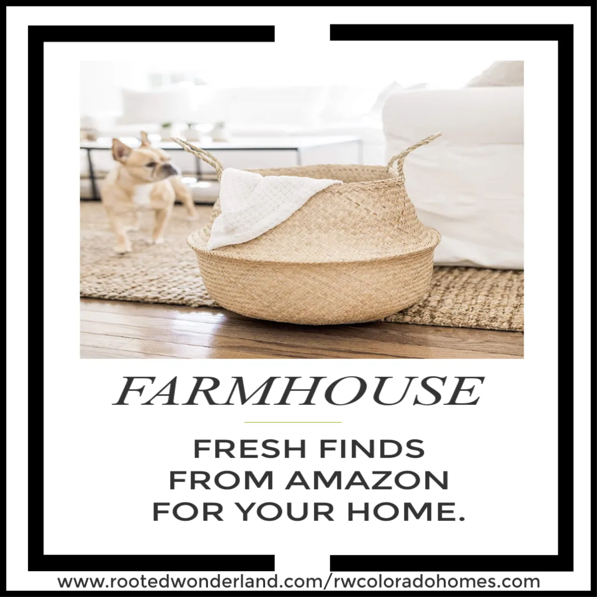 Blog 14 test blog Colorado Springs Local Experts – Colorado Finest Agency