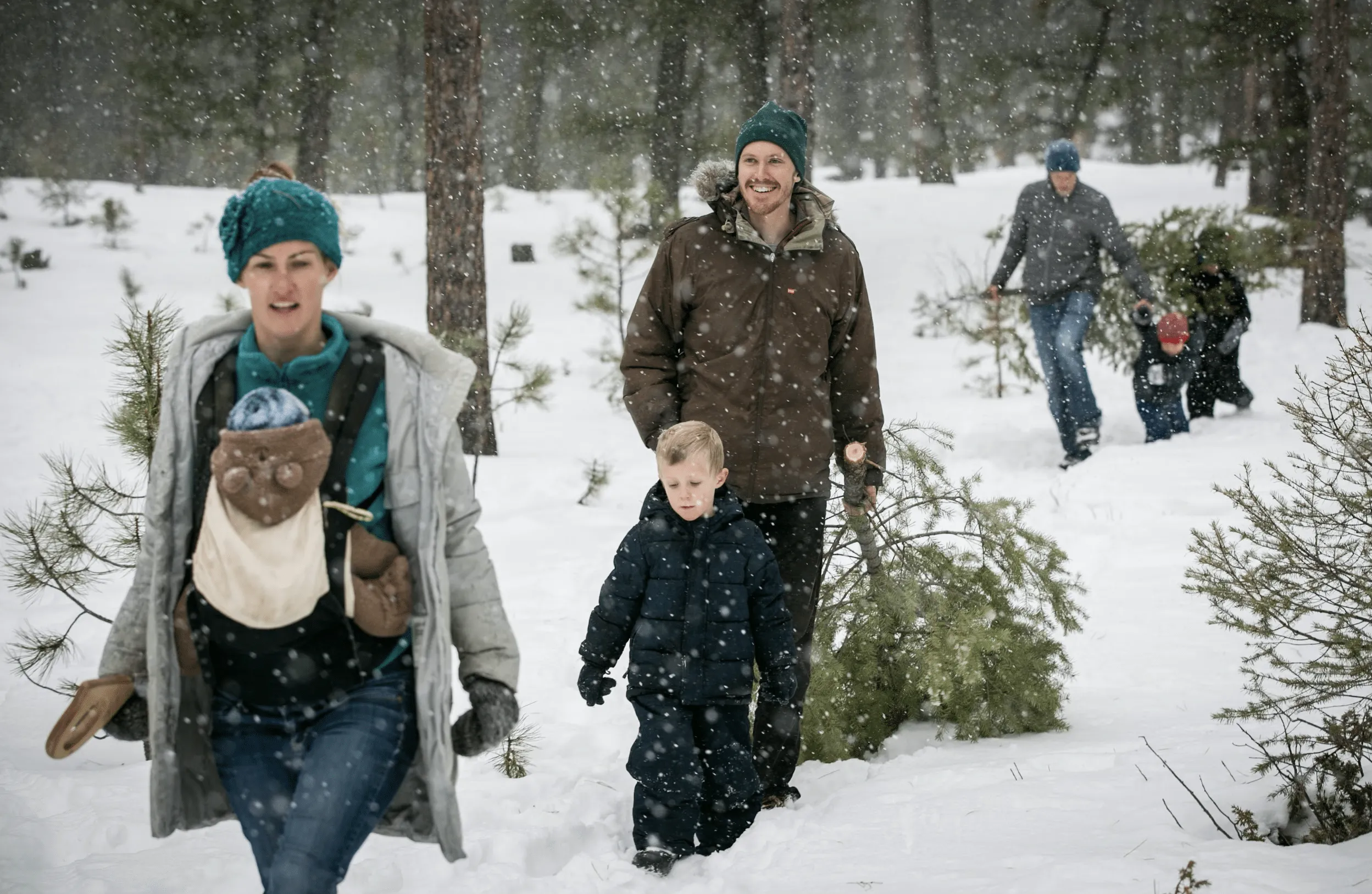 People in forest Colorado Springs Local Experts – Colorado Finest Agency